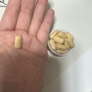 리프레쉬 | 프레쉬하모니 밀크씨슬 리프레쉬 복용 후기