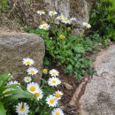 정관8어린이집 이미지