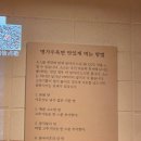 채식명가명품주유소 | 선릉역 점심 맛집 명가우육면 선릉역점 강남 우육면 추천