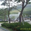장곡(청통) Daum카페