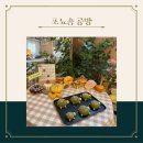 [낙성대_포뇨솜] 꼬북꼬북 귀여운 거북이 쿠키 만들기