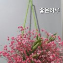 좋은하루 이미지