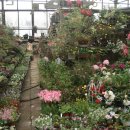 뉴서울장 이미지