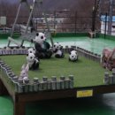 펜션 휴가 이미지