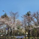 4월 첫째주 일상