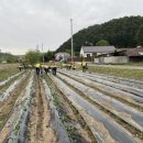 나눔농장 이미지