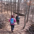 강화읍-9 이미지