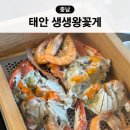 편백365 | 태안 안면도 맛집 추천 생생왕꽃게 편백 알배기 꽃게찜 후기