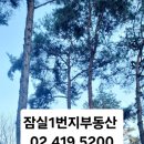 잠일병설유치원 이미지