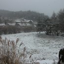 통나무집B민박 이미지