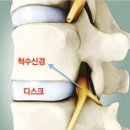 온리유휘트니스 이미지