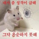 [결준] 홍대병 신부의 세상에 하나 뿐인 웨딩밴드 &#34;아크레도&#34; 계약 후기