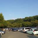 화원동산 주차장 이미지