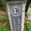 제황산공원(제황산부엉이) 이미지