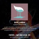 찰나의 그늘