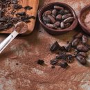 카카오(cacao) 이미지