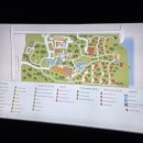 와이원 짐(Y1 GYM) | 리조트 깜란 The Westin Resort &amp; Spa Cam Ranh / Deluxe Garden view with King Bed and Balcony 후기