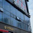 아주동물병원 | 해인동물메디컬, 공주동물병원 강아지 스케일링 후기