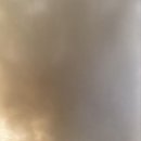 1시간 마트 이미지