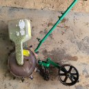 자연과 콩 이미지