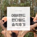 에니월드 | 에버랜드에서 만나고 온 바오 패밀리 판다월드 다녀온 후기