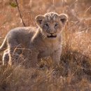 VR GATE CAFE 이미지