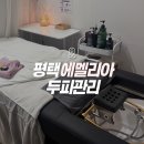 성동초등학교 | 평택 1:1 두피관리 에멜리아에서 건조한 두피 관리받은 후기