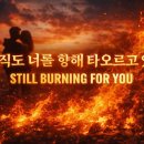 감정 신곡 16(사랑, Love) : 아직도 너를 향해 타오르고 있어(Still burning for you) 이미지
