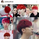 라이브헤어겔러리 이미지