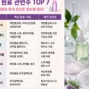 대봉상사