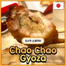 미친닭날개 | [오사카] 미친 교자 맛집 신세카이 Chao Chao Gyoza 내돈내산 솔직후기(+닭날개 교자)