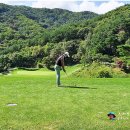 오션힐스청도골프클럽 이미지