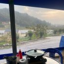 해운정왕새우