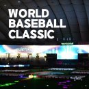 대진월드2 | 드디어 확정된 WBC 8강 진출팀 한국 상대팀부터 8강 대진과 대진표