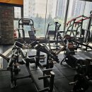 봉담헬스장 추천, PT 고민 끝! 로얄바디피트니스 봉담점에서 운동 시작한 후기