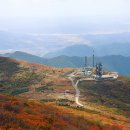 평화동017 이미지