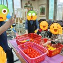 공굴러 가유 이미지