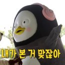 해주냉면 이미지