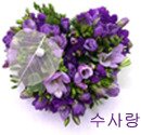 수사랑