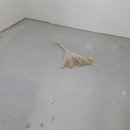 제일5차아파트 이미지