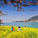 봄펜션민박 이미지