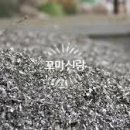 뉴스킨건강기능식품