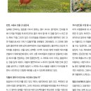 아트앤피플