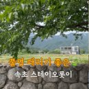 속초 야외 테라스가 있는 논밭뷰 카페 스테이 오롯이 내돈내산 후기
