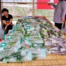 내현권역추진위영농조합 이미지