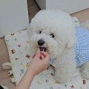 문해담펫푸드아카데미학원