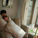 동호