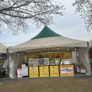 대구 꽃놀이명소 달성군 달창지벚꽃길 후기 (feat.내돈내산 대구성서 모다아울렛맛집 안시성 )
