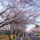 진명주유소 이미지