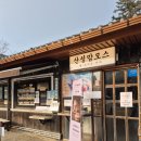 작성산성 | 남한산성 빵지순례'산성맘모스' 압도적인 크기와 맛